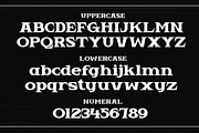 Vemeta - Modern Serif Font, a Serif Font by MaikoHatta (Thumbnail 6 of 8)