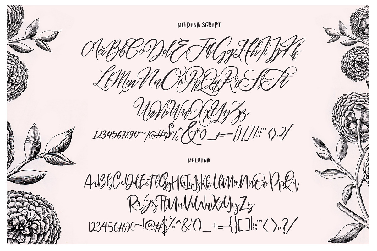 Maldina Feminime (4 fonts) preview 7