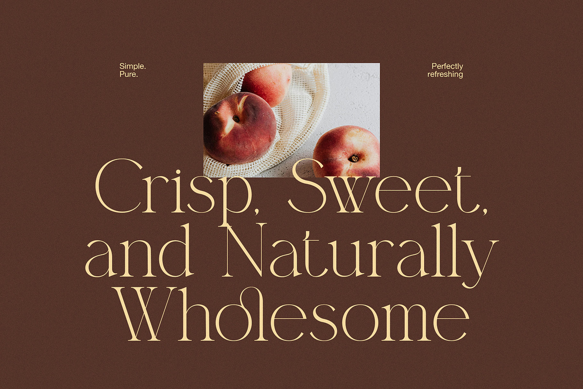 Megita Elegant Serif Font, a Serif Font by Elegant Font (Photo 3 of 8)