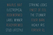 White Label, a Font by Ekloff (Thumbnail 3 of 4)