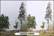 LAB Color Vol. 1 - Inverted Blend, a Plug-in Add-On by Raztrend (Thumbnail 28 of 30)