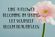 Magnolia, a Script Font by InermediaSTUDIO (Thumbnail 5 of 8)