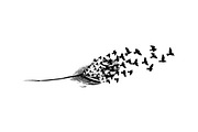Boho Feather Silhouette Vector, an Object Graphic by jahid234 (Thumbnail 40 of 51)