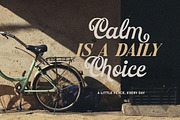 Bardguine Font Duo, a Script Font by Letterhend Studio (Thumbnail 3 of 12)