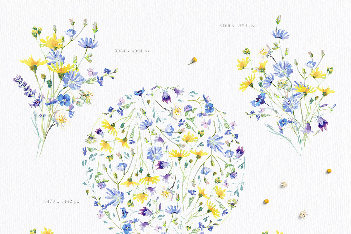 Charming Rustic Watercolors, an Animal Illustration by Eva Katerina (Photo 7 of 15)