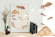 Watercolor Life Cycle Set, an Education Illustration by MayaNavits (Thumbnail 8 of 11)