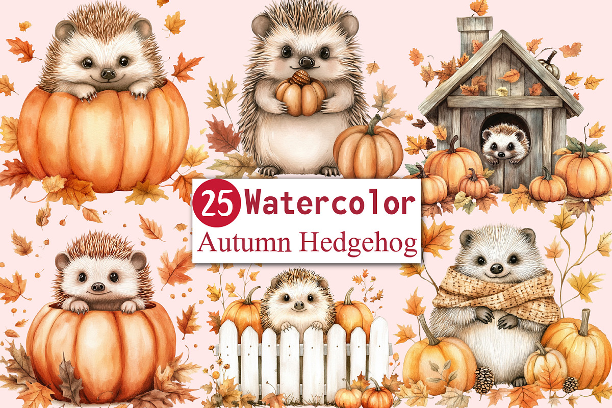 Autumn Cute Hedgehog Sublimation, an Illustration by CitraGraphics (Photo 1 of 6)