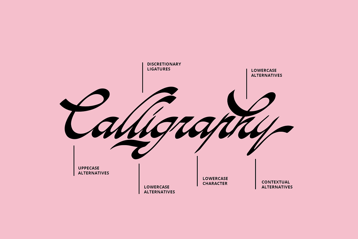 ED Balsamine script font, a Script Font by Emyself Design (Photo 2 of 12)