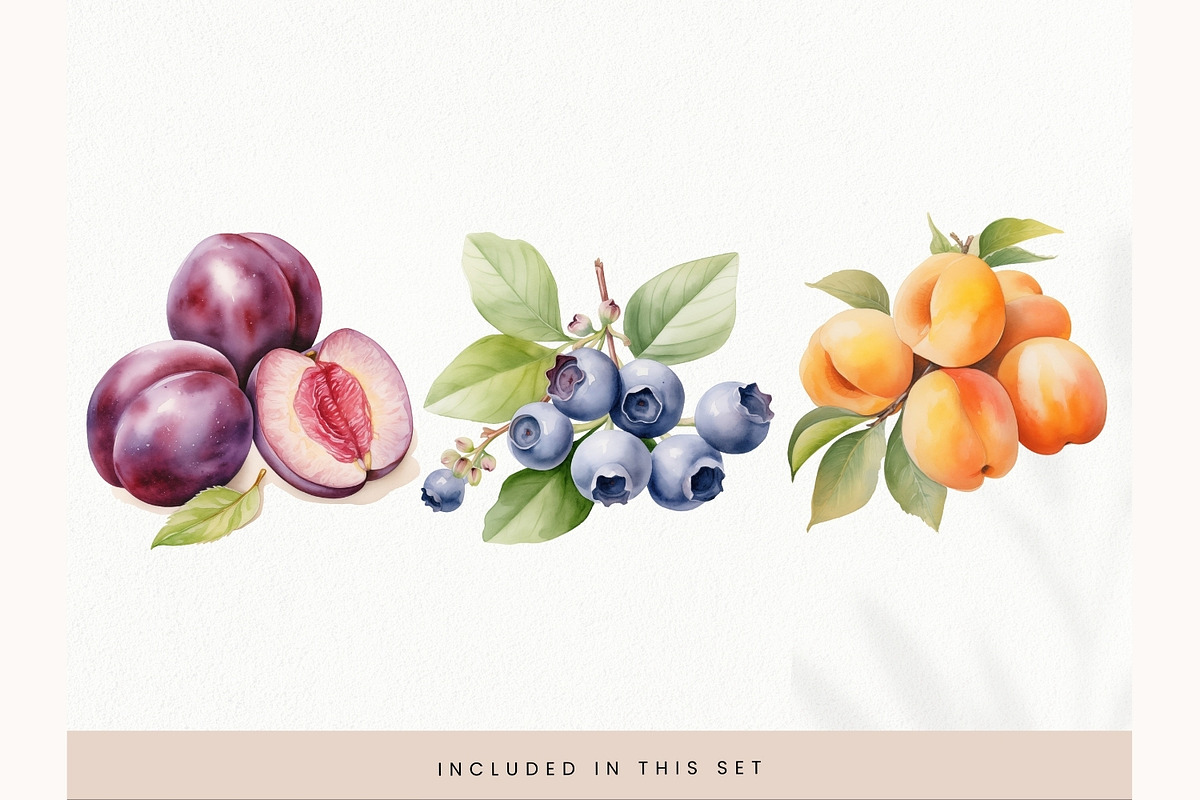 Watercolor Fruit Clipart, Fresh PNG, a Decorative Illustration by illuztrate (Photo 4 of 13)