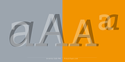 Arventa Slab Pro, a Slab Serif Font by preussTYPE (Thumbnail 3 of 10)