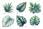 matching Tropical Leaves Bundle, an Illustration by Daily.Designs (Thumbnail 5 of 5)