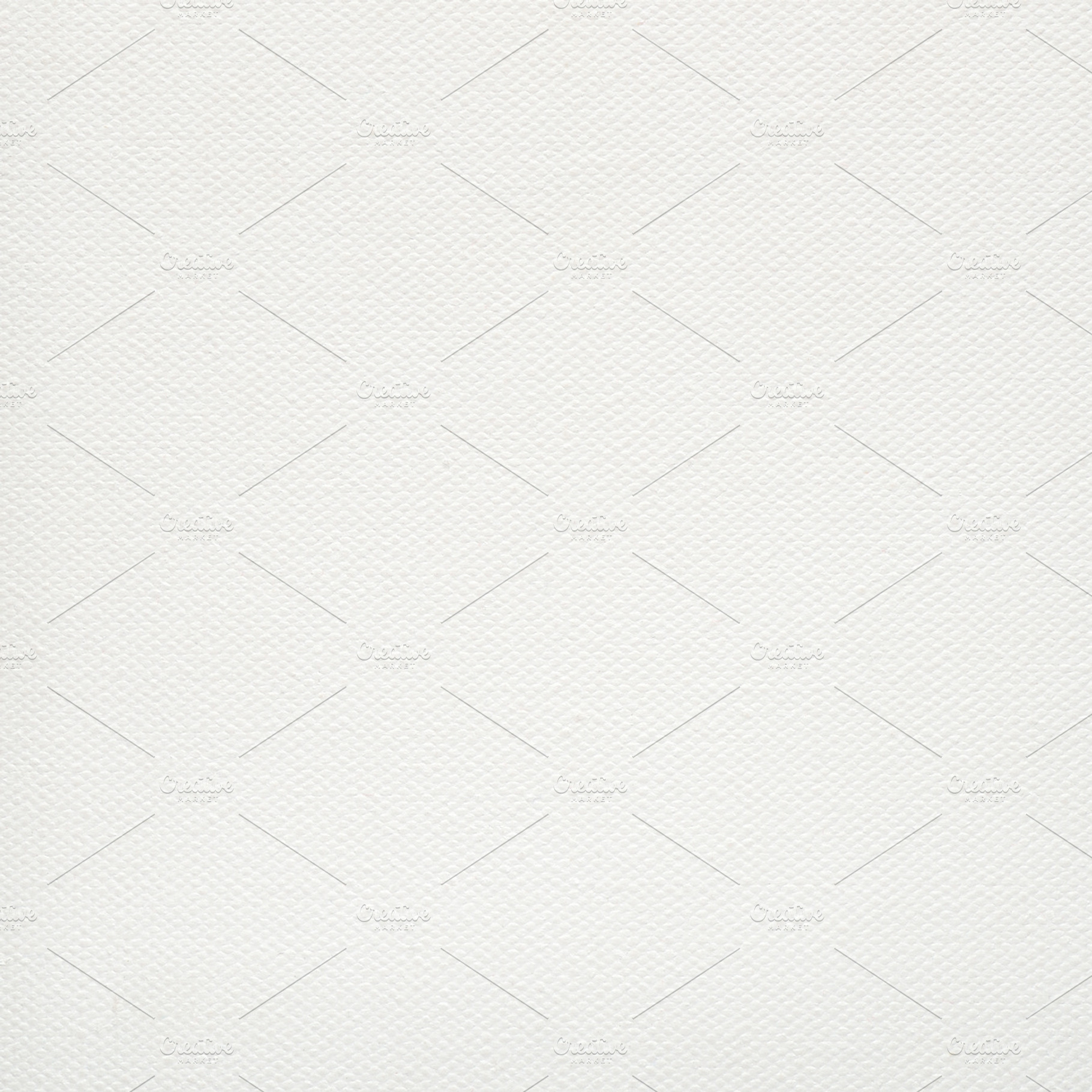 Primed canvas