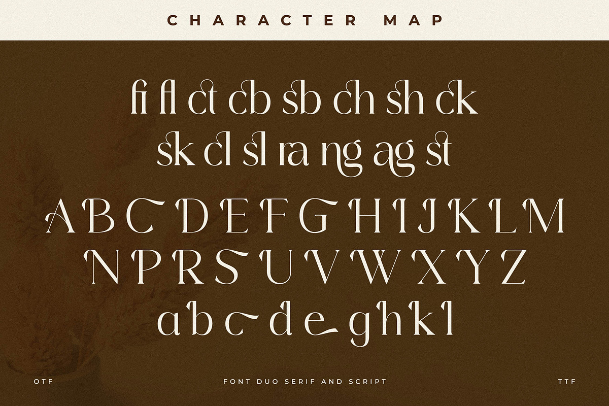 Primrose Essentials Font Duo, a Serif Font by Storytype Studio (Photo 14 of 15)