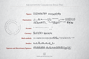 Archive Garamond Pro Family of 4, a Font by Archive Type Fonts (Thumbnail 12 of 14)
