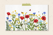 Wild herbs. Wildflowers in summer, a Decorative Illustration by irina.vaneeva (Thumbnail 8 of 8)