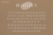 Eternal Spring | Elegant Sans Family, a Sans Serif Font by Krismagraph (Thumbnail 12 of 14)
