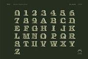 Melt - Raster Display font, a Font by Da_Noob Design co. (Thumbnail 2 of 2)
