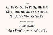 Shine Typewriter Serif Font, a Serif Font by Creativetacos (Thumbnail 8 of 10)