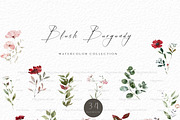Blush Burgundy Flower, a Decorative Illustration by heyiamalice (Thumbnail 4 of 9)