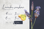 Lavender sunshine, an Object Illustration by MsFlaffy (Thumbnail 1 of 12)