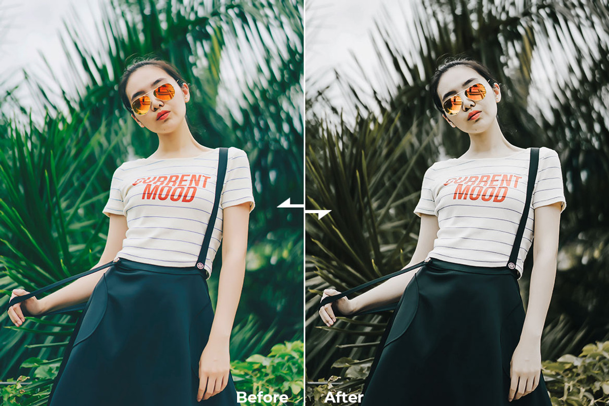 Classic Green Lr Presets & Ps Action, an Action Add-On by Modaldesain (Photo 2 of 3)