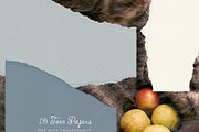 Orchard Days - Vintage Scrapbook Kit, an Object Graphic by alonahaidash (Thumbnail 12 of 17)