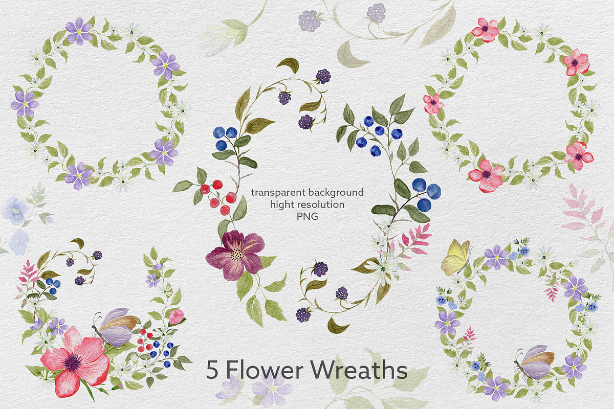 Wildflower & Butterfly Collection, a Decorative Illustration by Nadia Semyroz (Photo 5 of 12)