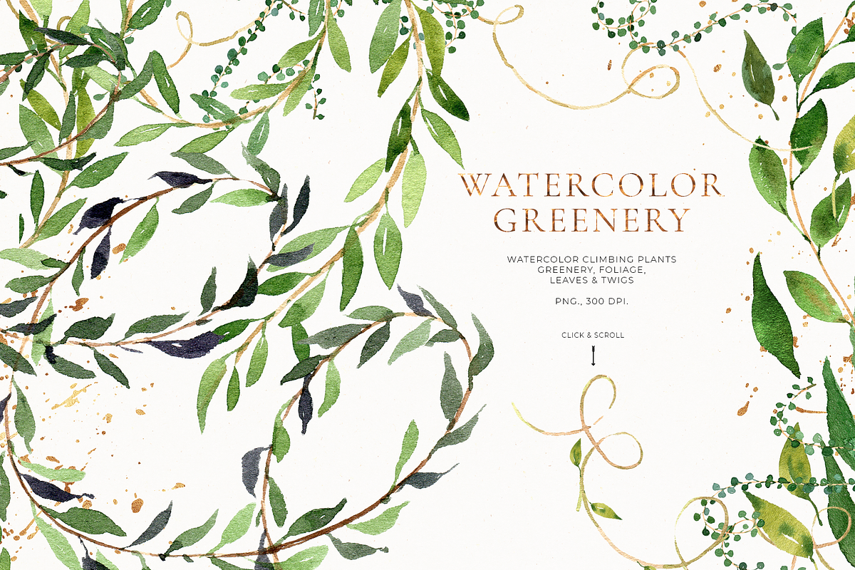Greenery, foliage & climbing plants, an Illustration by Pamyatka Shop (Photo 4 of 6)