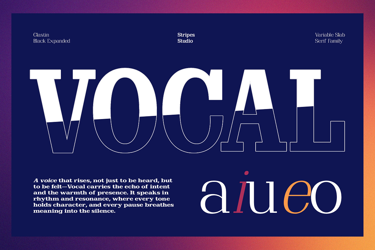 Clastin Variable, a Slab Serif Font by Stripes Studio (Photo 10 of 15)