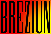Breziun | Condensed Serif Font