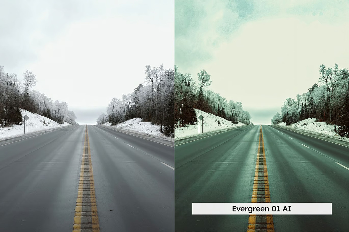 20 Winter Forest Lightroom Presets, a Preset Add-On by Hubzway (Photo 13 of 13)