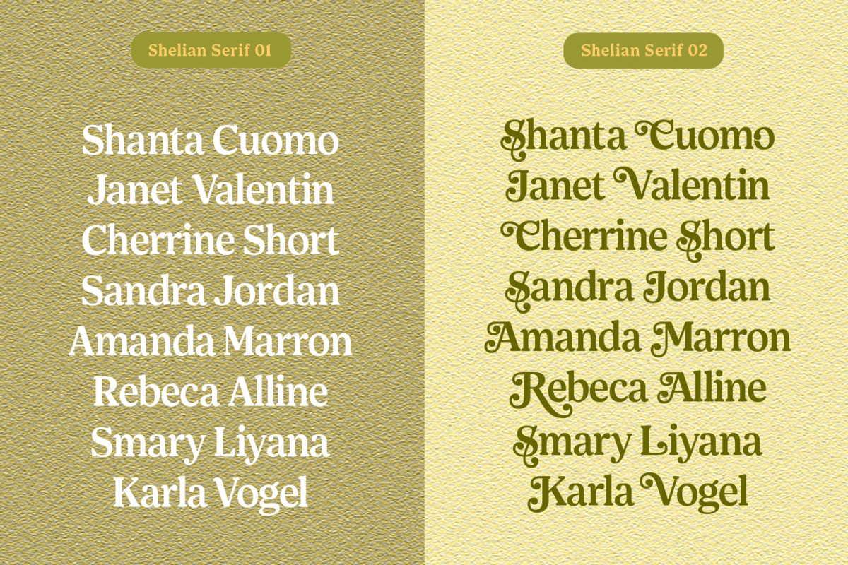 Shelian, a Serif Font by Seniors (Photo 9 of 15)