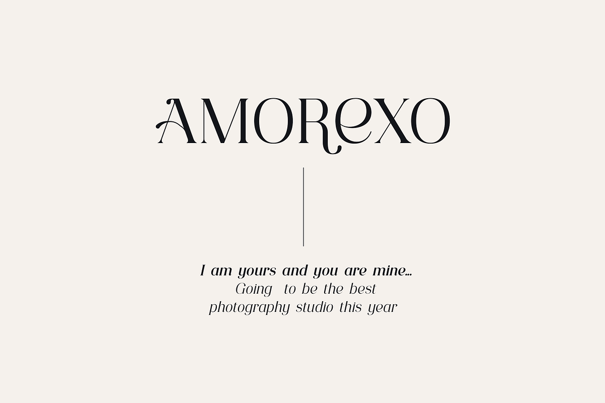 Consumer Type - elegant font family, a Serif Font by VP Fonts (Photo 12 of 18)