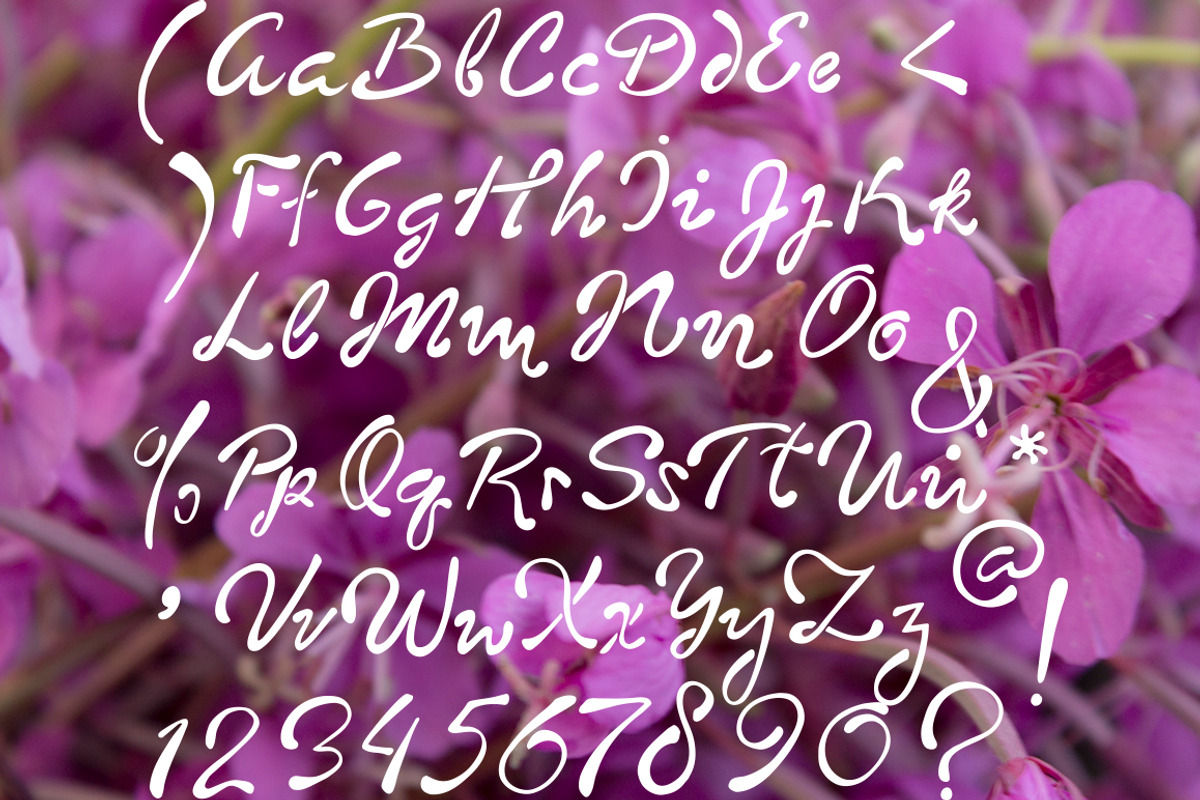 Blooming sally font preview 2