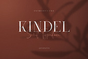 Kindel - Completed Collection, a Serif Font by VP Fonts (Thumbnail 2 of 44)