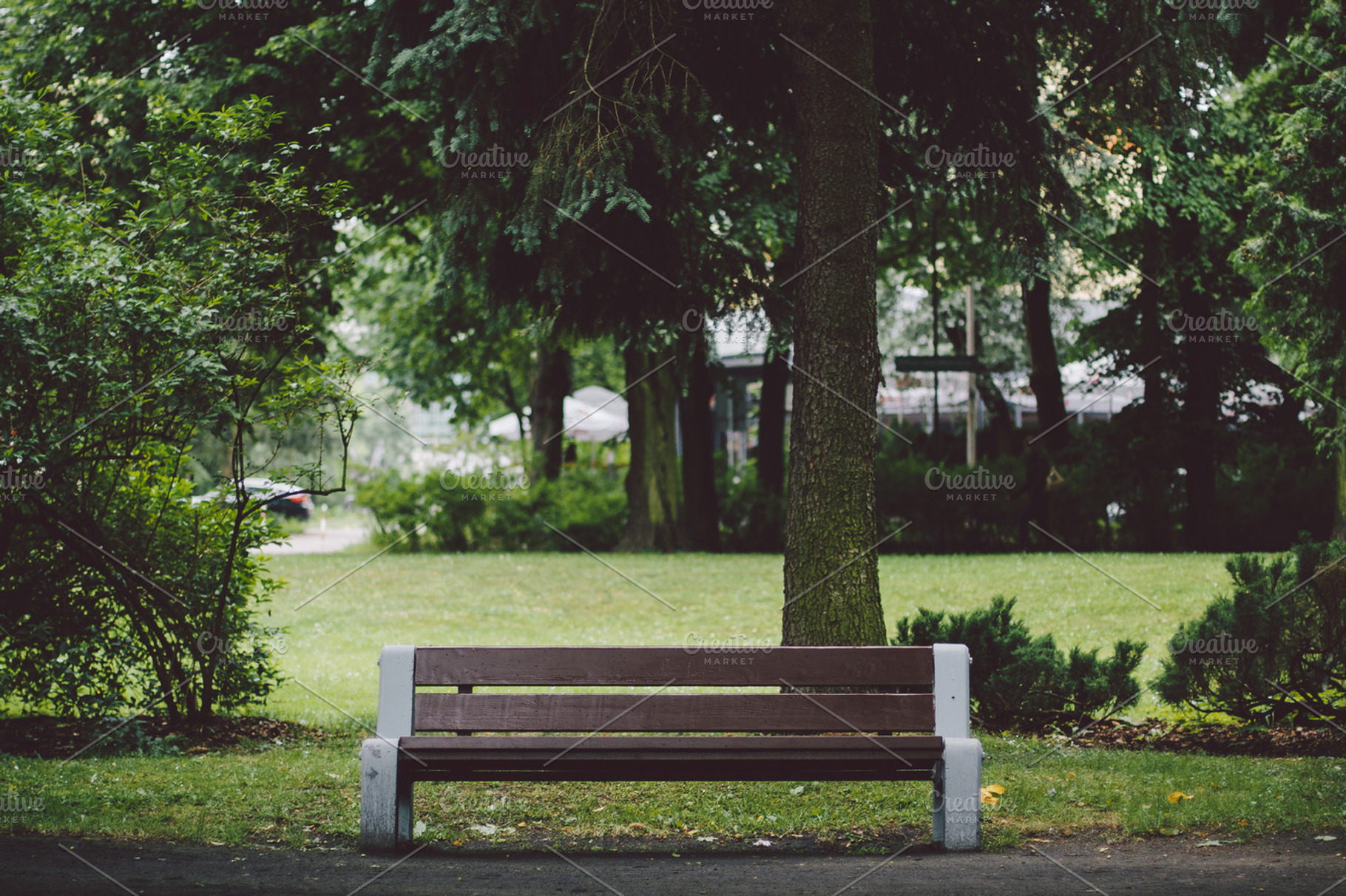 Bench In A Park 1