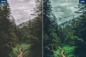 Forest Lightroom Presets