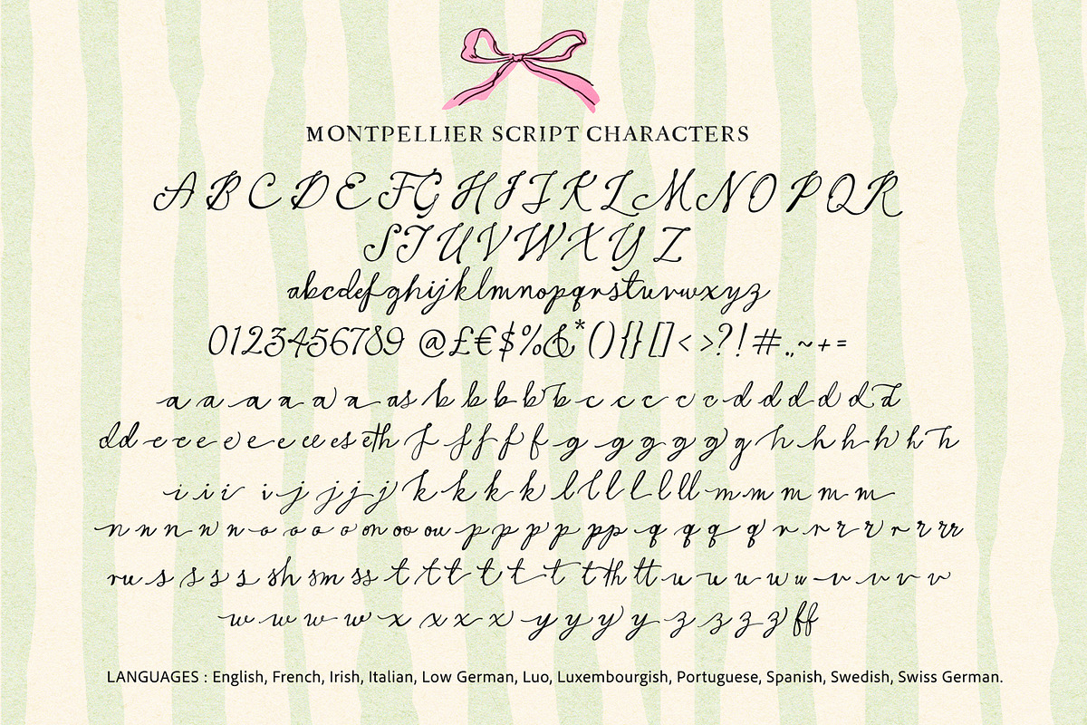 Montpellier Script, a Script Font by Nicky Laatz (Photo 21 of 21)