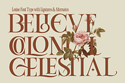 Louise - Elegant Ligatures Serif, a Serif Font by Fortunes Co (Thumbnail 12 of 14)