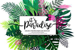exotic tropical palm leaves