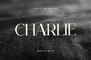 Bodar Serif Display Font, a Serif Font by UICreative (Thumbnail 4 of 5)