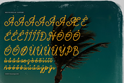 Paradise Gallaiso | Monoline Script, a Script Font by gracetype_studio (Thumbnail 12 of 12)