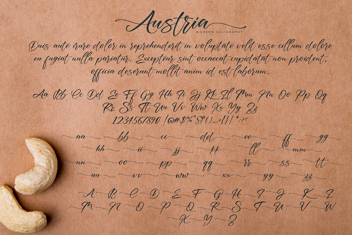 Austria Script (40% Off Summer Sale), a Script Font by Debut Studio (Photo 10 of 10)