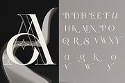 Ravenza - Modern Elegant Branding, a Serif Font by Qweera Studio (Thumbnail 10 of 12)