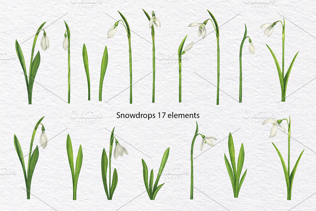 Watercolor wild spring flowers set, a Decorative Illustration by KathrineWatercolor (Photo 2 of 10)