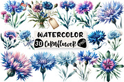 Watercolor Cornflower Clipart, an Illustration by Black Bird Studio (Thumbnail 1 of 6)