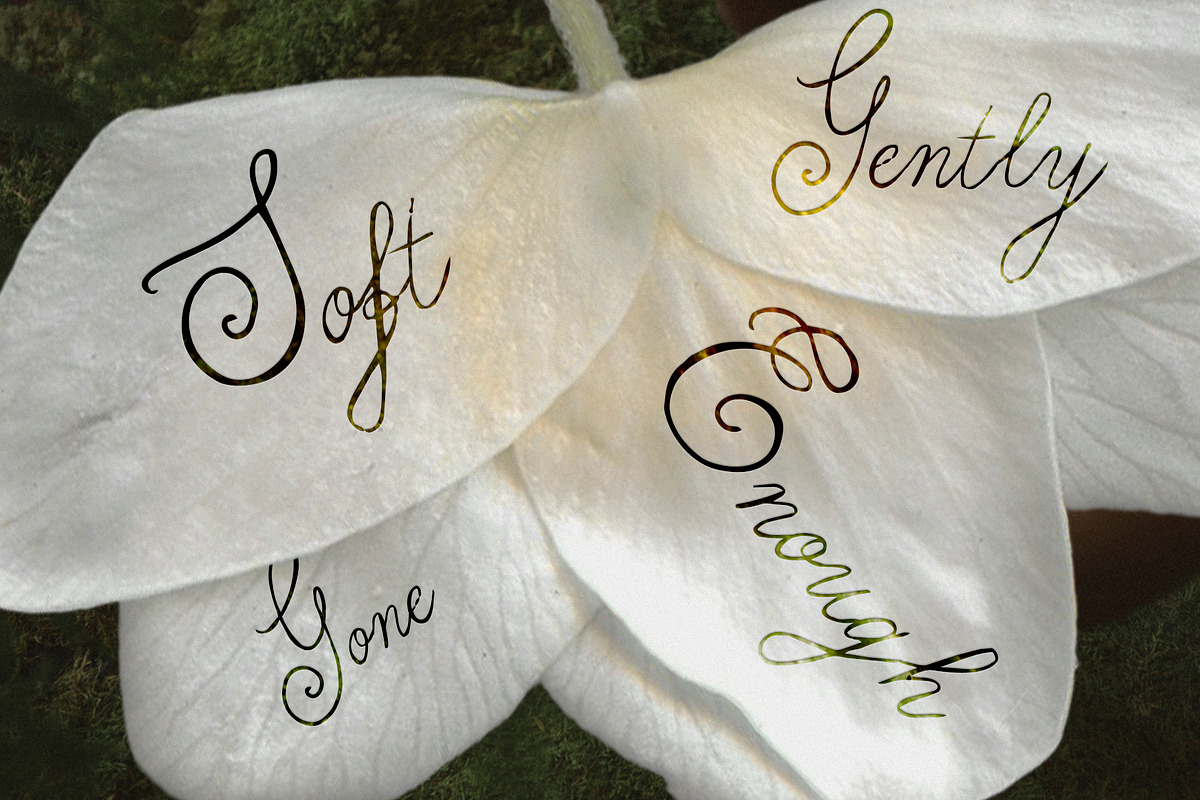 Gentle Script Edition No. 23, a Script Font by Mneme