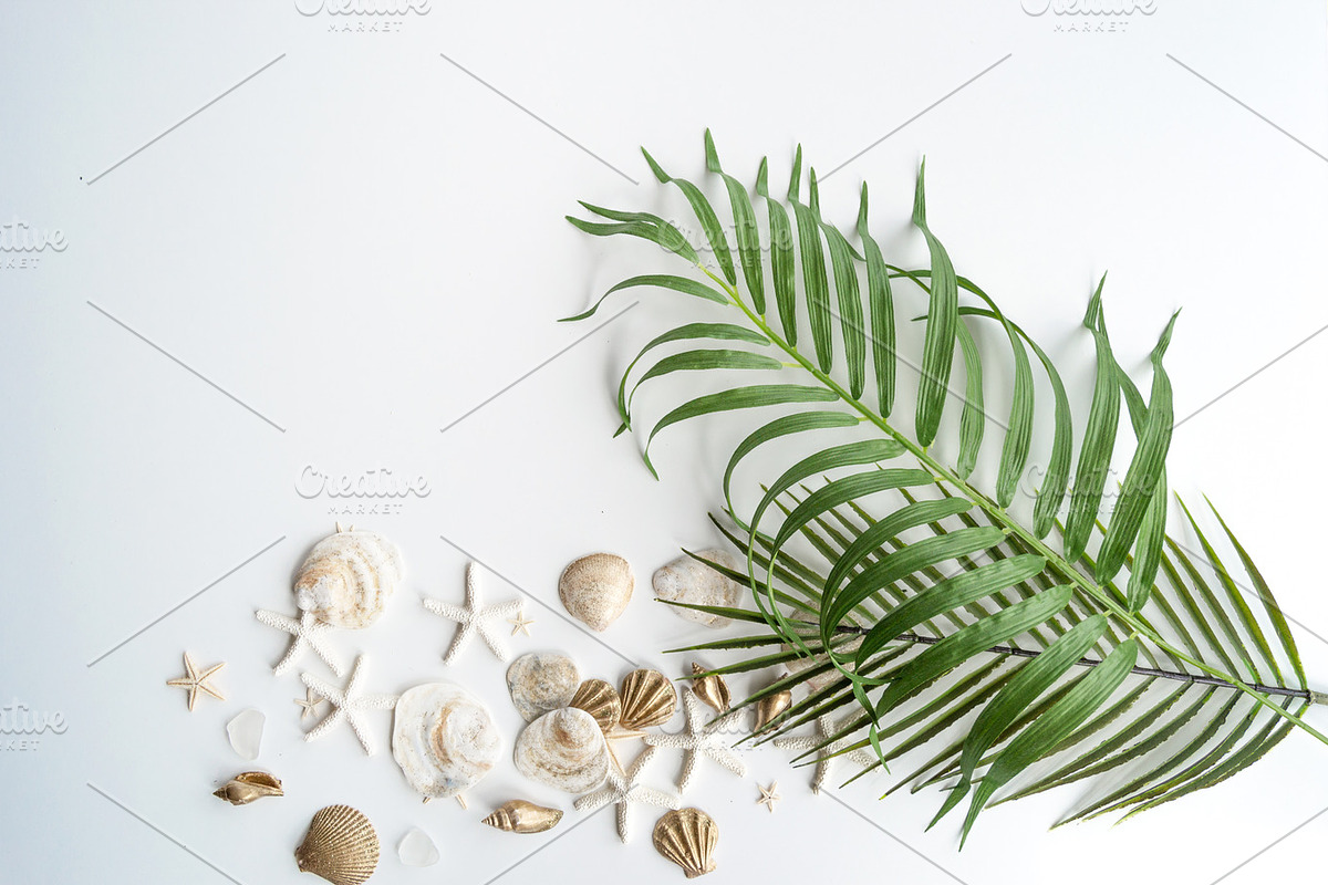 Summer Photo Bundle - Seashells, a Nature Photo by GT Studio (Photo 10 of 11)