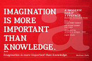 Relica - Serif font family, a Serif Font by Artistic & Unique (Thumbnail 4 of 15)