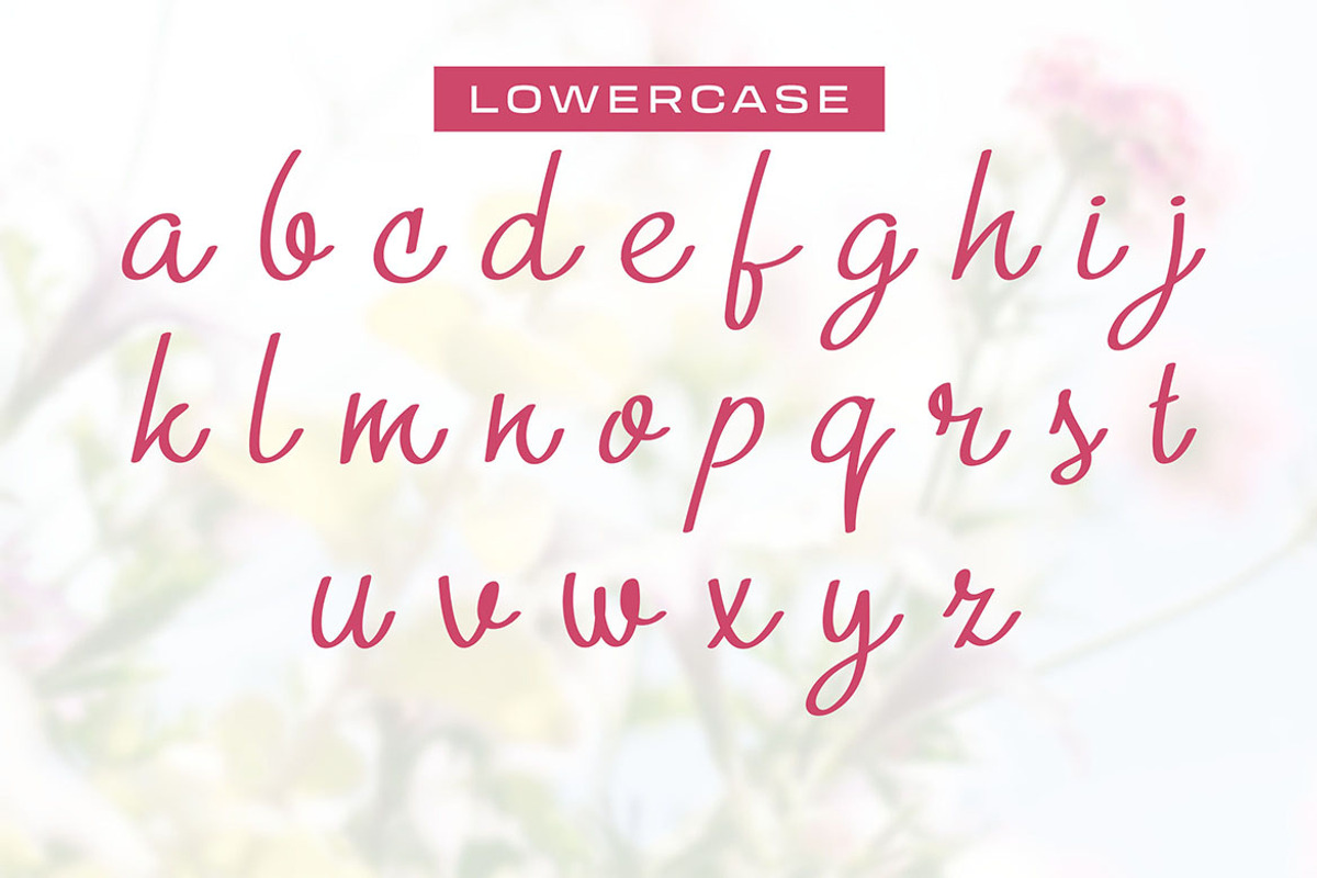 Rinasari - Handwritten Script Font, a Script Font by Morisco (Photo 4 of 6)